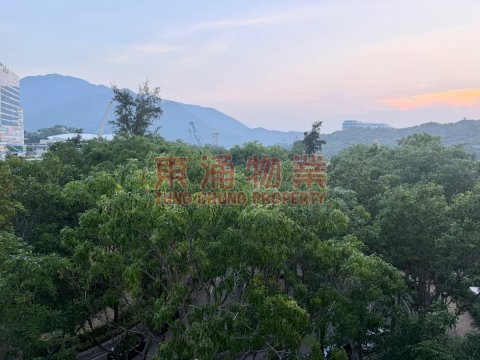 海堤灣畔 第02座 兩房綠油油企理