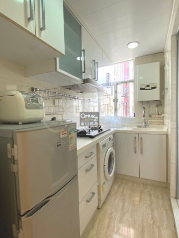 龍蟠苑 屯馬雙線