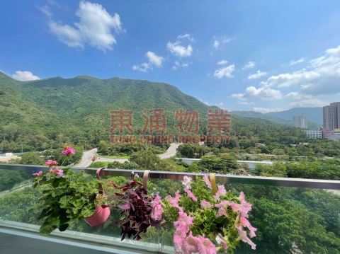 藍天海岸 第01期 第01座 大兩房露台