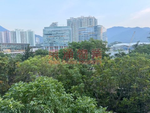 海堤灣畔 第02座 兩房綠油油企理