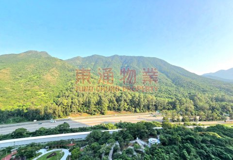 映灣園 第02期 第08座 兩房山景企理