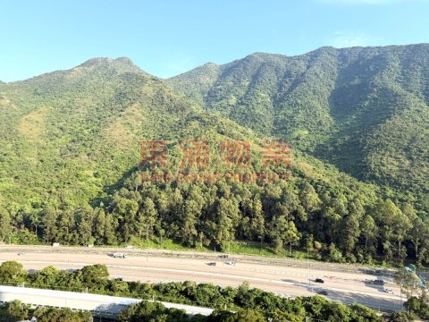 映湾园 第03期 第10座 两房连家俬