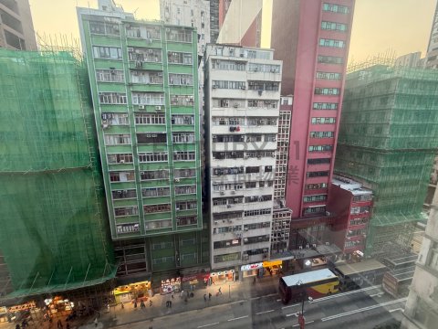 彌敦行 彌敦行