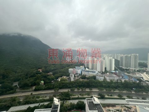 藍天海岸 第01期 第06座 高層兩房山景