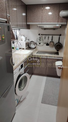 星河明居 B座