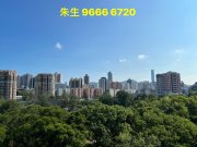 晟林