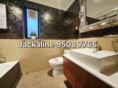 DYNASTY HTS TROPICANA BLK 06