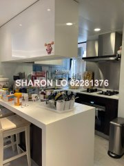DYNASTY HTS TROPICANA BLK 06
