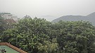 怡峰 淺水灣 低層 M028058 售盤