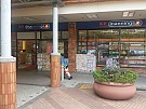 廣源村 沙田 006453 售盤