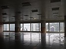 11102997_10155386550