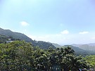 甘道21号 山顶 A258836 售盘