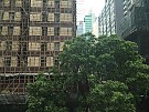 88 駱克道 - adatsema