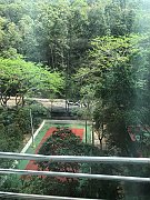 竹園北村 黃大仙 F016162 售盤