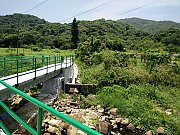 ２０００-５００００呎農地 大埔 低層 062683 售盤