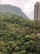 嘉峰台 牛池灣 高層 N085479 售盤