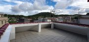 井栏树 西贡 000819 售盘