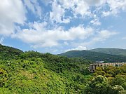 天鑽 大埔 高層 F060781 售盤