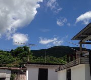 蠔涌村 西貢 000700 售盤