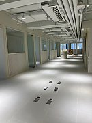 Sai Yeung Choi St S 51