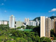 启德花园 横头磡 高层 N087956 售盘