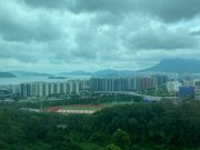 鹿茵山莊 大埔 1144864 售盤