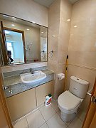 成龍居 (41區名...