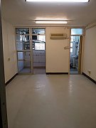 东头村 九龙城 低层 S169299 售盘