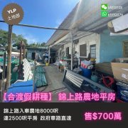 合渡假耕種 元朗 1095690 售盤