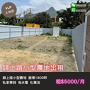 錦上路小型農地出租 元朗 T169201 售盤