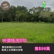 独家上水高尔夫球场 上水 M071381 售盘