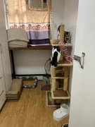 鳳寶大廈,優質２房求賣 黃大仙 L123690 售盤