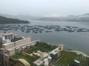 比华利山别墅 大埔 1398899 售盘