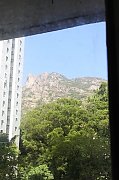 翠竹花園 黃大仙 D093601 售盤