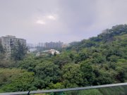 畢架山一號 第10座