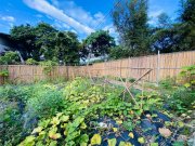 ６５００尺农地～自给自足农耕乐! 粉岭 低层 071602 售盘