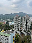 翠怡花园 大埔 高层 R118288 售盘