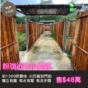 【筍】粉嶺近市農地 粉嶺 S076208 售盤