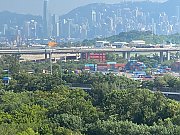 美孚新村 荔枝角 高层 M028195 售盘