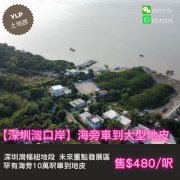 升值前景備受看好,罕有海旁車到大型地皮 元朗 S127901 售盤