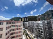 真能阁 