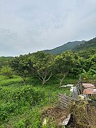 流水響 粉嶺 011794 售盤