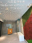 西貢銀線灣*全海景靚裝*高級管理 西貢 全幢 006165 售盤