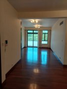 叠翠豪庭 大埔 1253337 售盘