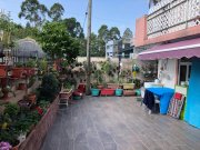 元朗南近市●地下連花園 元朗 低層 004279 售盤