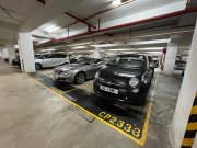 聚龙居 沙田 低层 1403118 售盘