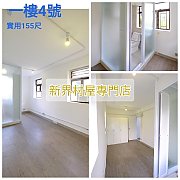 船灣陳屋 大埔 低層 T003615 售盤