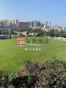 君柏 九龙城 中层 T164786 售盘