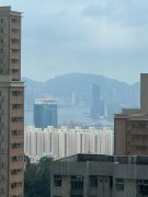 海港花園 牛池灣 高層 F086532 售盤