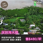 【深圳灣大橋】側入車地皮 元朗 M068797 售盤